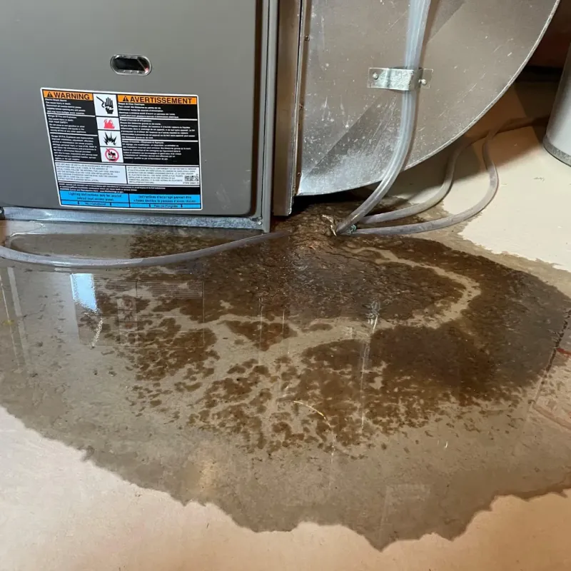 Appliance Leak Cleanup in Fairlea, WV