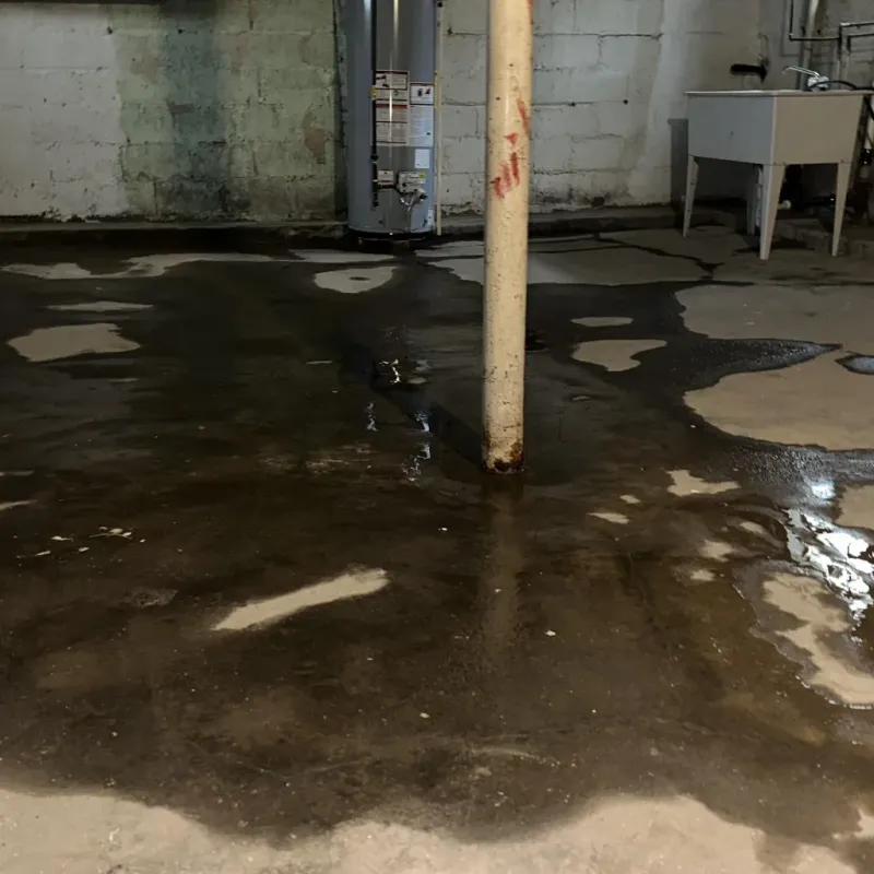 Emergency Water Extraction And Removal in Fairlea, WV